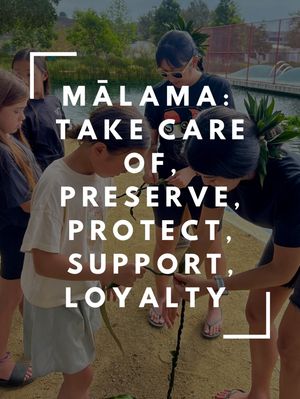 Image post by @kapualaniokekukui on Instagram