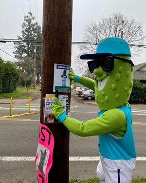 Image post by @picklesbaseball on Instagram