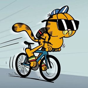 Image post by @minibicis on Instagram