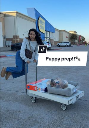 Video post by @jaylabrenae5 on TikTok