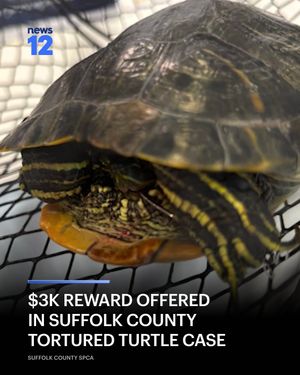 Image post by @news12li on Instagram