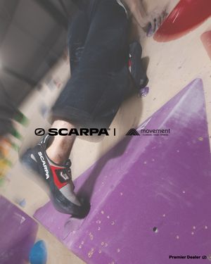 Image post by @scarpana on Instagram