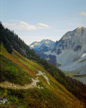 Image post by @fieldmag on Instagram