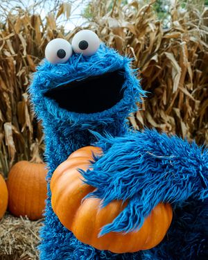 Image post by @cookiemonster on Instagram