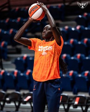 Image post by @DallasWings on Twitter/X
