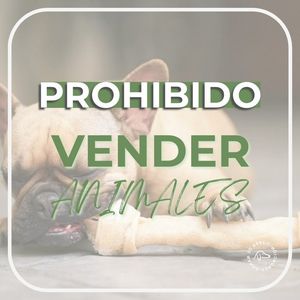 Image post by @tierradenando on Instagram