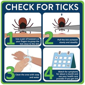 Image post by @mnhealth on Facebook