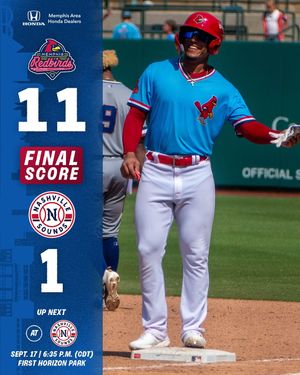 Image post by @memphisredbirds on Instagram