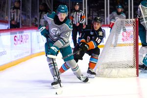 Image post by @sjbarracuda on Instagram