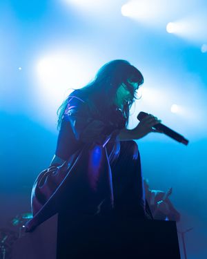 Image post by @localwolves on Instagram