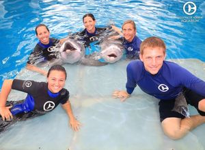Image post by @cmaquarium on Instagram