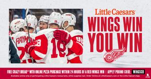 Image post by @DetroitRedWings on Twitter