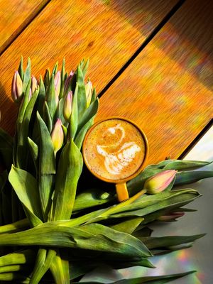 Image post by @crimsoncolumbus on Instagram