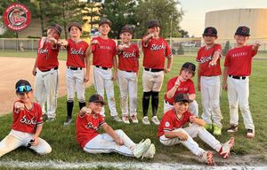 Image post by @iowasticksbaseball on Instagram
