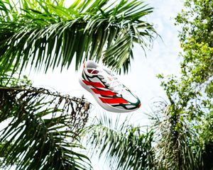 Image post by @miamihurricanes on Instagram