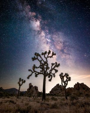 Image post by @nationalparkscollective on Instagram