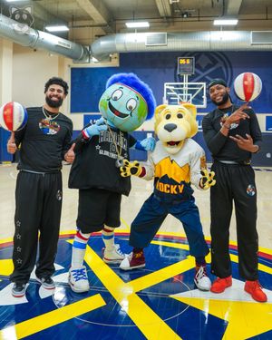 Image post by @TheSuperMascot on Twitter