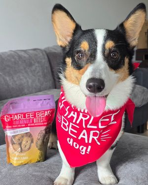 Image post by @charlee_bear_dogtreats on Instagram