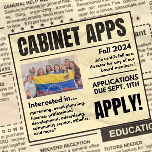 Image post by @ufvensa on Instagram