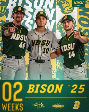 Image post by @ndsubaseball on Instagram