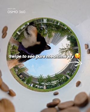 Image post by @osmo_global on Instagram