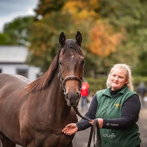 Image post by @thoroughbred_daily_news on Instagram