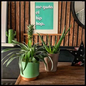 Image post by @bananashed_home on Instagram