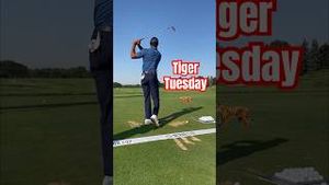 Video post by @PGA TOUR on YouTube