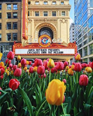 Image post by @chicago.explore on Instagram