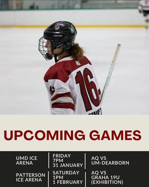 Image post by @aqwomenshockey on Instagram
