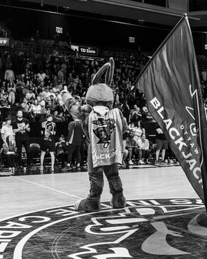 Image post by @ottawablackjacks on Instagram