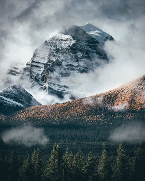 Image post by @chandlerwebercreative on Instagram