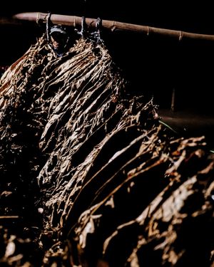 Image post by @manolo1910cigars on Instagram
