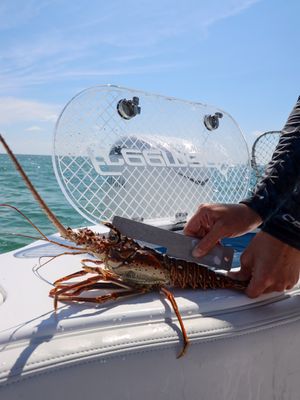 Image post by @freemanboatworks on Instagram