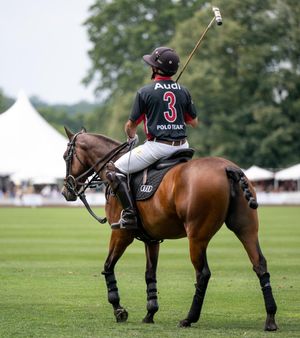 Image post by @greenwichpoloclub on Instagram