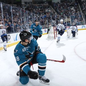 Image post by @sanjosesharks on Instagram