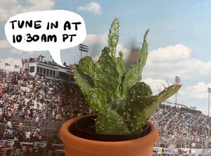 Image post by @phoenixraceway on Twitter