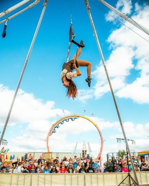 Image post by @michiganstatefair on Instagram