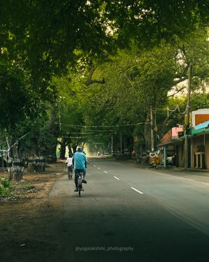 Image post by @yogalakshmi_photography on Instagram