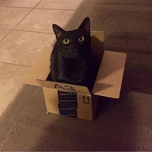 Image post by @amazon on Instagram