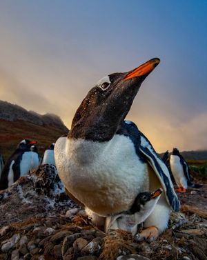 Image post by @sealegacy on Instagram