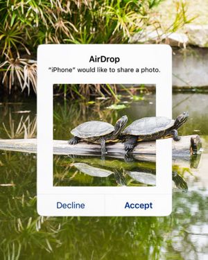 Image post by @utaustintx on Instagram