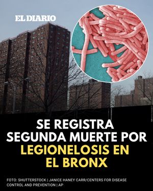 Image post by @eldiariony on Instagram