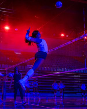Image post by @fauvolleyball on Instagram