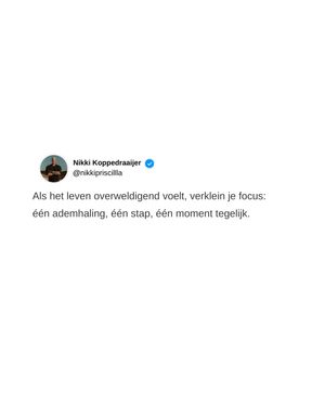Image post by @nikkipriscillla on Instagram