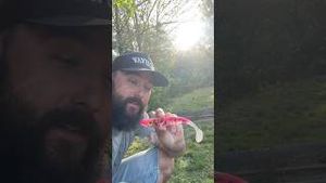 Video post by @jonasederfishing on YouTube