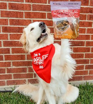 Image post by @charlee_bear_dogtreats on Instagram