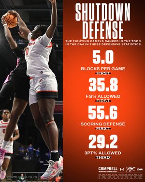 Image post by @gocamelswbb on Instagram