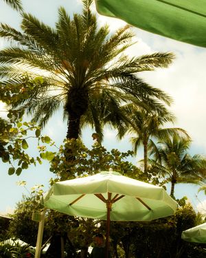 Image post by @hudsonratz on Instagram