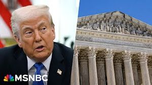 Video post by @msnbc on YouTube